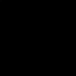 Meet your Posher, Ronnie